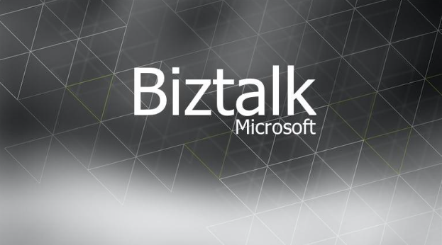 Biztalk CRM Adapter for Managing Business and How to Use It